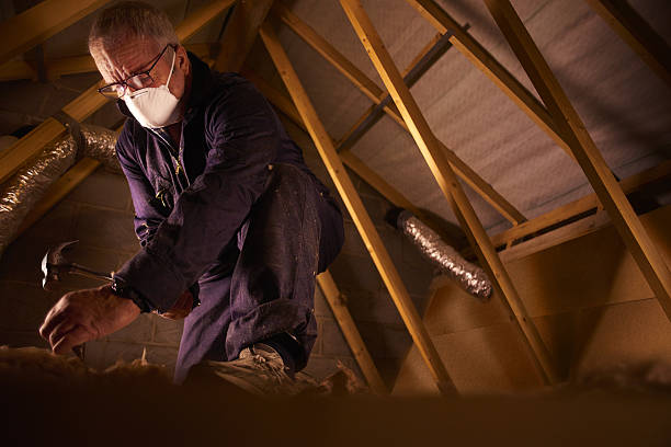 Best Specialty Insulation in Geneva, IN